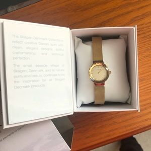 Skagen Gold Watch